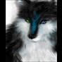 isaac54brading's Avatar
