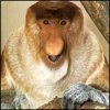 ysusavuk's Avatar
