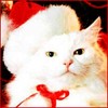 uwogawi's Avatar