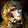 otabu's Avatar