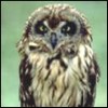 uzojuw's Avatar