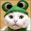 irymily's Avatar
