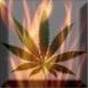 ippolitostroud's Avatar