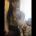 Ezio41's Avatar